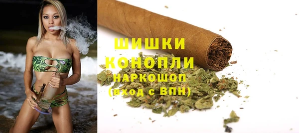 мдпв Гусь-Хрустальный