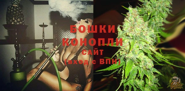мдпв Гусь-Хрустальный