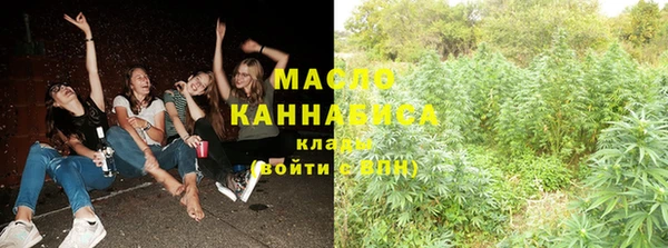 мдпв Гусь-Хрустальный