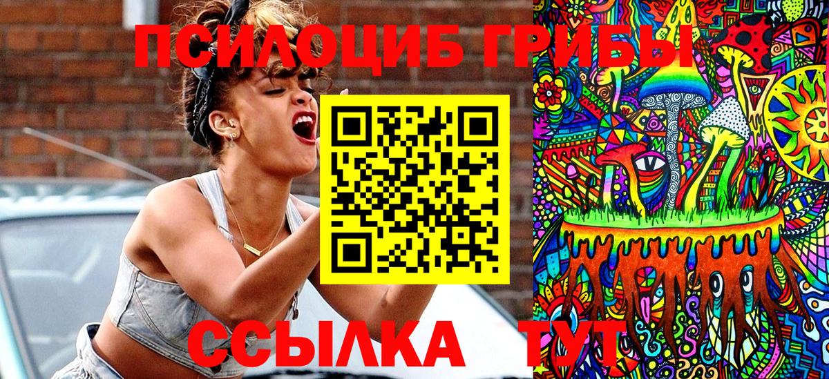 Дубна  Псилоцибиновые грибы мухоморы  Вход с VPN 