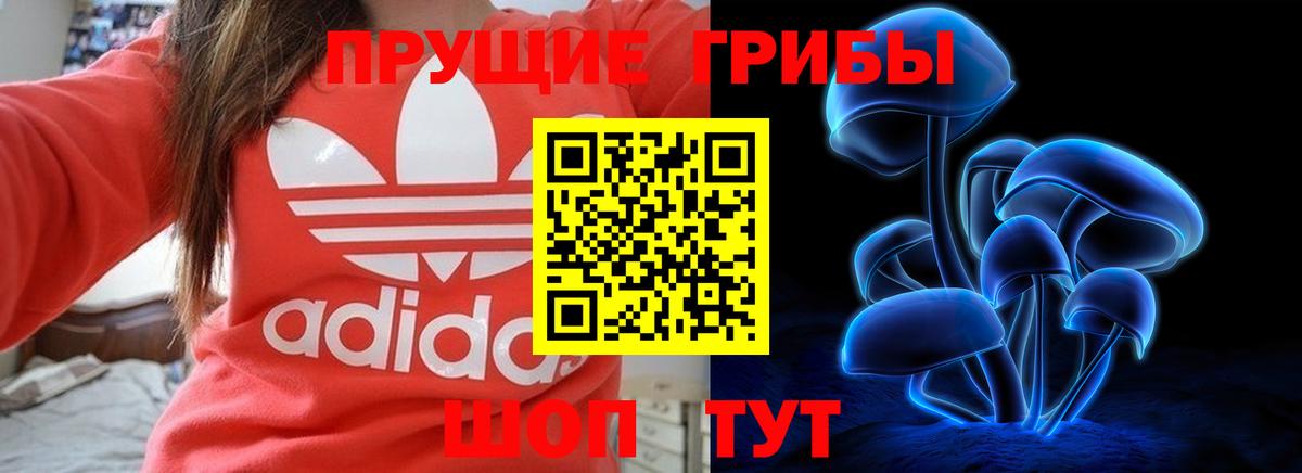 Галлюциногенные грибы Psilocybine cubensis Дубна